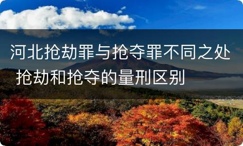 河北抢劫罪与抢夺罪不同之处 抢劫和抢夺的量刑区别