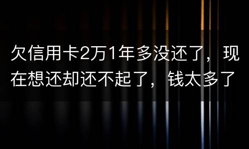 欠信用卡2万1年多没还了，现在想还却还不起了，钱太多了，会有什么后果
