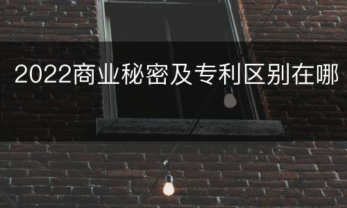 2022商业秘密及专利区别在哪