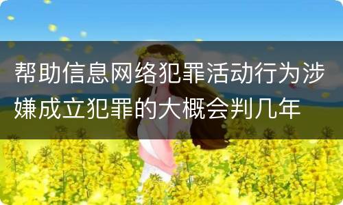 帮助信息网络犯罪活动行为涉嫌成立犯罪的大概会判几年