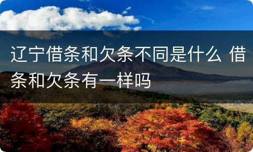 辽宁借条和欠条不同是什么 借条和欠条有一样吗