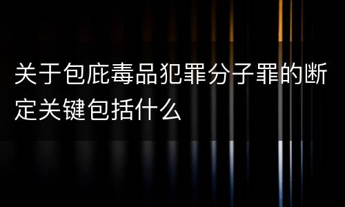 关于包庇毒品犯罪分子罪的断定关键包括什么