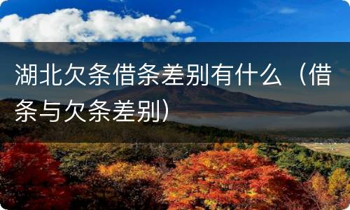 湖北欠条借条差别有什么（借条与欠条差别）