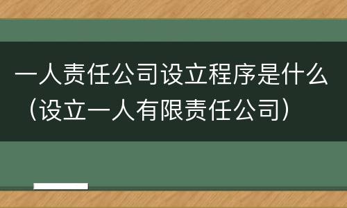 一人责任公司设立程序是什么（设立一人有限责任公司）