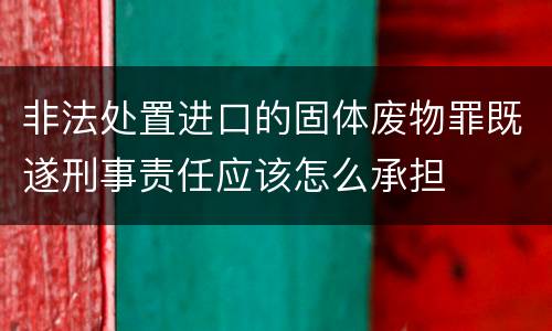 非法处置进口的固体废物罪既遂刑事责任应该怎么承担