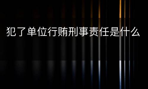 犯了单位行贿刑事责任是什么