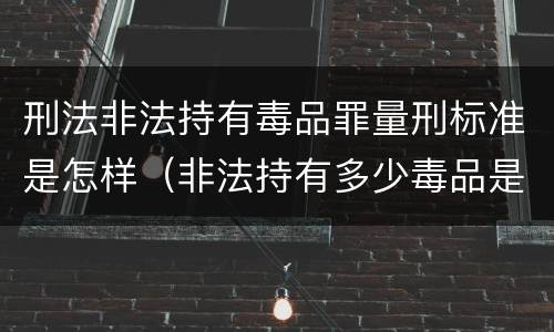 刑法非法持有毒品罪量刑标准是怎样（非法持有多少毒品是刑事犯罪）