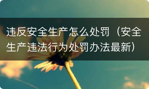 违反安全生产怎么处罚（安全生产违法行为处罚办法最新）