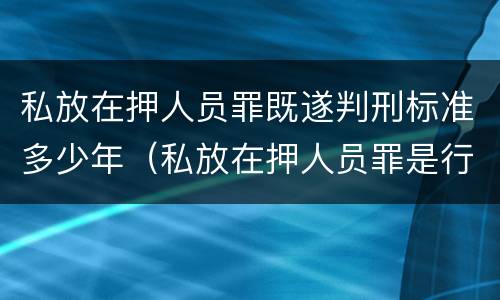 私放在押人员罪既遂判刑标准多少年（私放在押人员罪是行为犯吗）