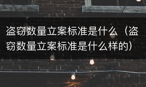 盗窃数量立案标准是什么（盗窃数量立案标准是什么样的）