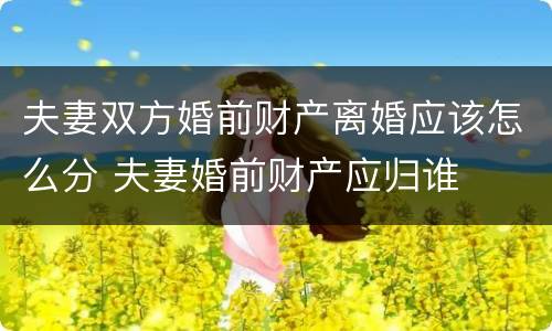 夫妻双方婚前财产离婚应该怎么分 夫妻婚前财产应归谁