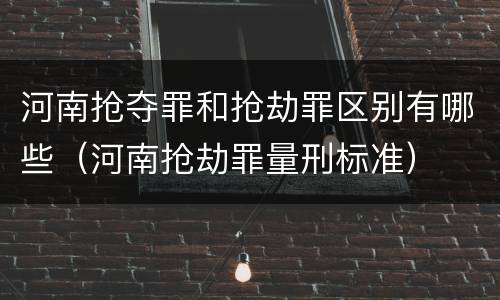 河南抢夺罪和抢劫罪区别有哪些（河南抢劫罪量刑标准）