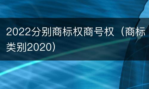 2022分别商标权商号权（商标类别2020）