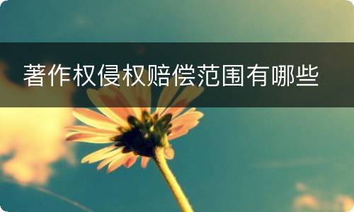  著作权侵权赔偿范围有哪些