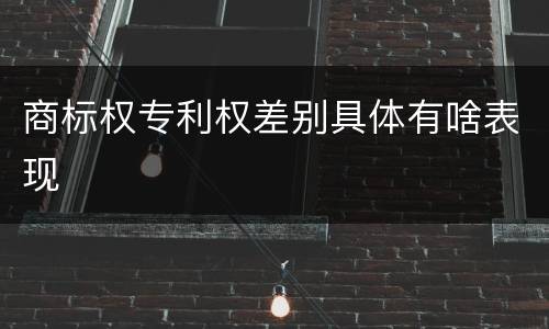 商标权专利权差别具体有啥表现