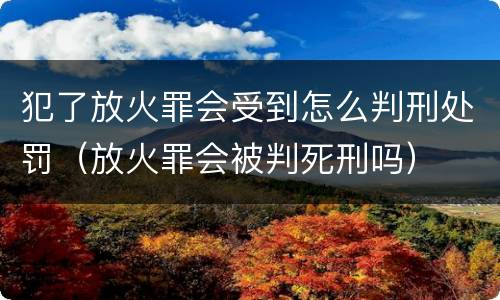 犯了放火罪会受到怎么判刑处罚（放火罪会被判死刑吗）