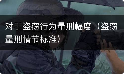 对于盗窃行为量刑幅度（盗窃量刑情节标准）