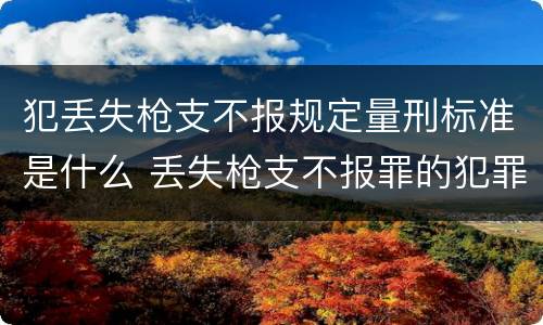 犯丢失枪支不报规定量刑标准是什么 丢失枪支不报罪的犯罪主体只能是什么