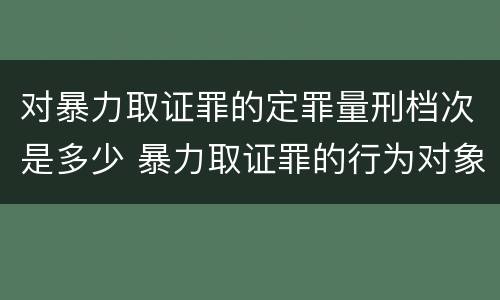 对暴力取证罪的定罪量刑档次是多少 暴力取证罪的行为对象是