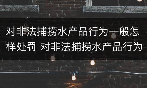对非法捕捞水产品行为一般怎样处罚 对非法捕捞水产品行为一般怎样处罚的