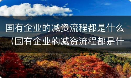 国有企业的减资流程都是什么（国有企业的减资流程都是什么意思）