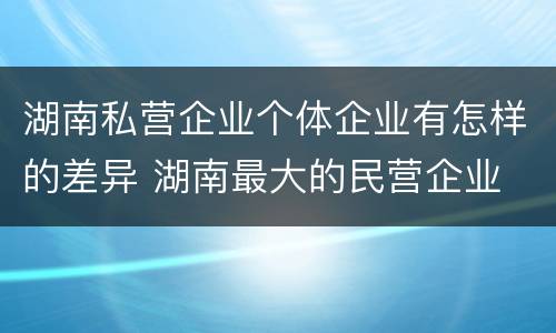 湖南私营企业个体企业有怎样的差异 湖南最大的民营企业