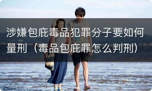 涉嫌包庇毒品犯罪分子要如何量刑（毒品包庇罪怎么判刑）