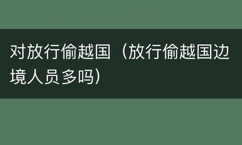 对放行偷越国（放行偷越国边境人员多吗）