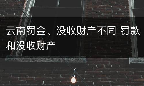 云南罚金、没收财产不同 罚款和没收财产