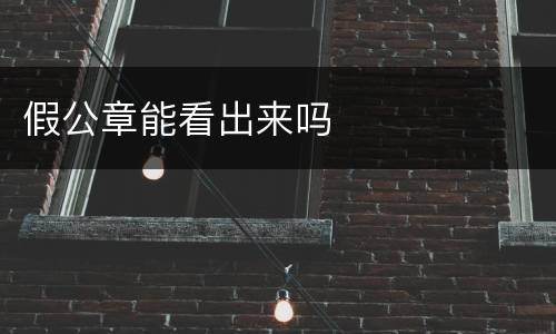 假公章能看出来吗