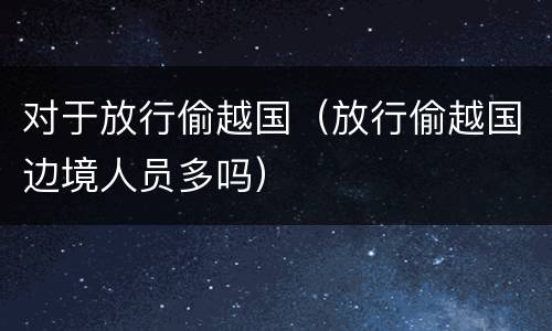 对于放行偷越国（放行偷越国边境人员多吗）
