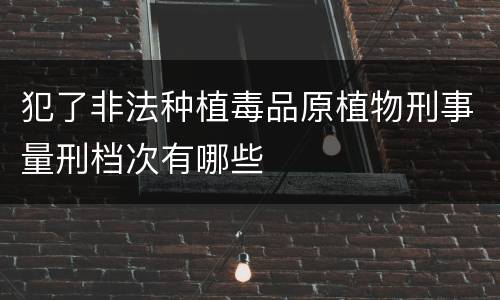 犯了非法种植毒品原植物刑事量刑档次有哪些