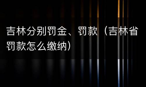 吉林分别罚金、罚款（吉林省罚款怎么缴纳）