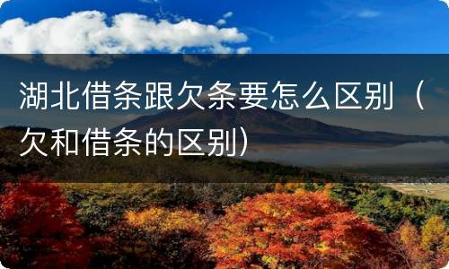 湖北借条跟欠条要怎么区别（欠和借条的区别）