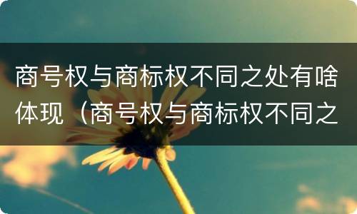 商号权与商标权不同之处有啥体现（商号权与商标权不同之处有啥体现吗）
