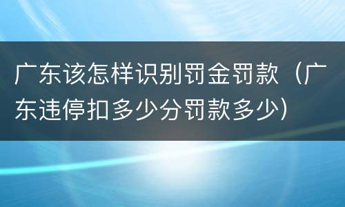 广东该怎样识别罚金罚款（广东违停扣多少分罚款多少）