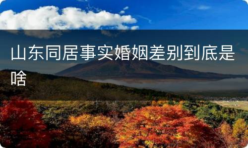 山东同居事实婚姻差别到底是啥