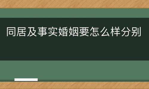 同居及事实婚姻要怎么样分别