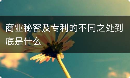 商业秘密及专利的不同之处到底是什么