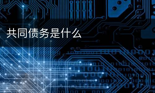 共同债务是什么