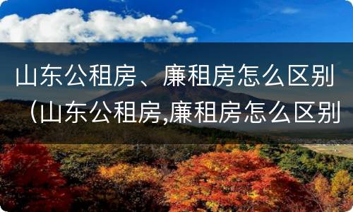 山东公租房、廉租房怎么区别（山东公租房,廉租房怎么区别的）