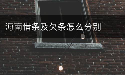 海南借条及欠条怎么分别