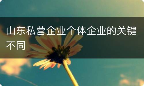 山东私营企业个体企业的关键不同