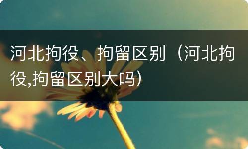 河北拘役、拘留区别（河北拘役,拘留区别大吗）