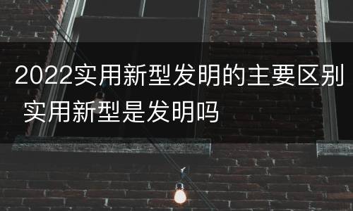 2022实用新型发明的主要区别 实用新型是发明吗