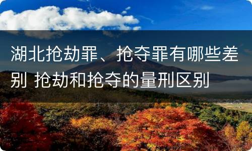 湖北抢劫罪、抢夺罪有哪些差别 抢劫和抢夺的量刑区别