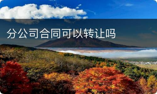 分公司合同可以转让吗