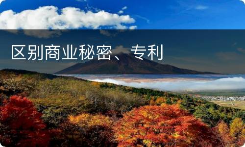 区别商业秘密、专利