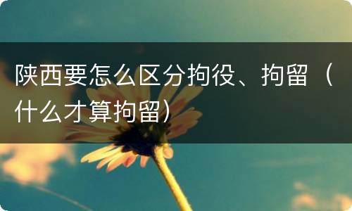 陕西要怎么区分拘役、拘留（什么才算拘留）