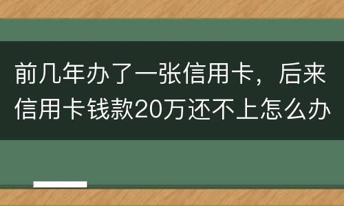 前几年办了一张信用卡，后来信用卡钱款20万还不上怎么办。